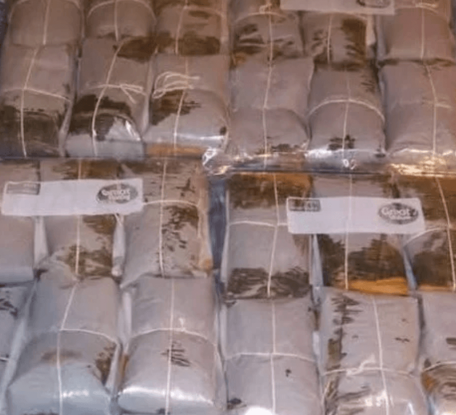 Green Banana Pasteles, $40 / Dozen